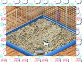Hamster Monogatari 64